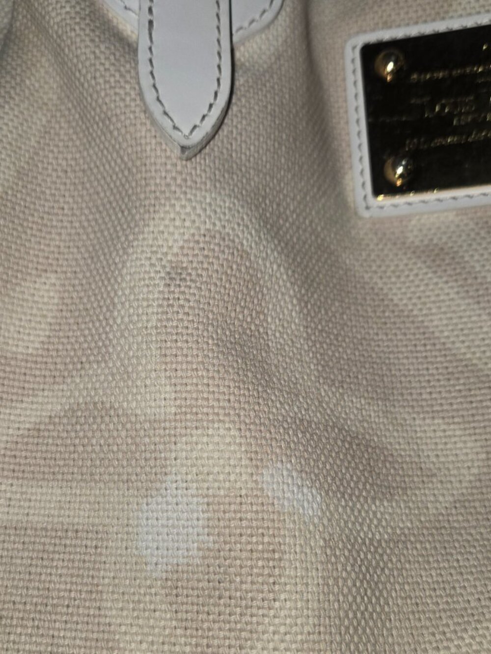 Louis Vuitton Tahitienne Cabas PM - Picture 6 of 15